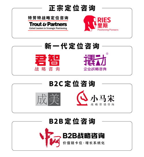 戰(zhàn)略咨詢與技術(shù)開發(fā)雙輪驅(qū)動 解鎖企業(yè)高效決策實戰(zhàn)路徑